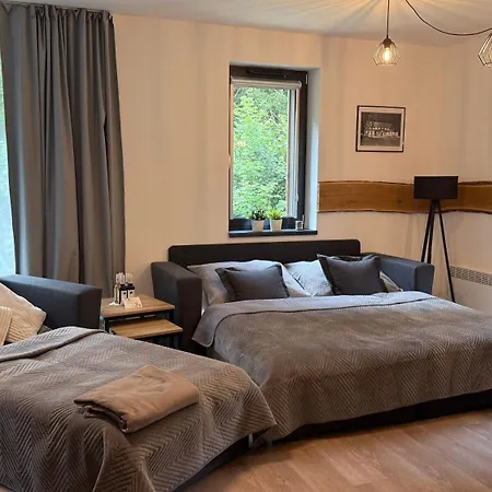 Appartement Mlyn Herlikovice 205