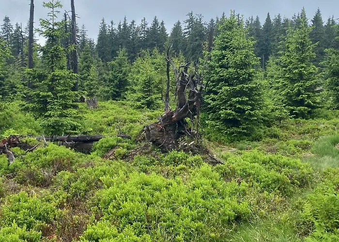 Mlyn Herlikovice 205 Vrchlabí